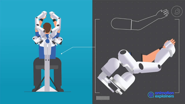 Harmonic Bionics